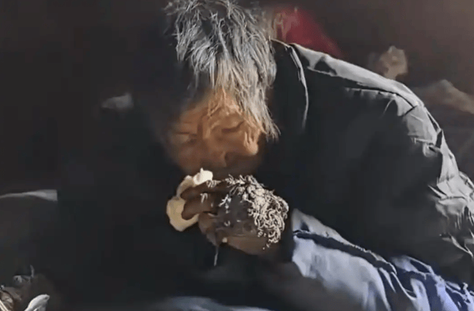 手机报·早报丨一年闭店近9万家，网红面包卖不动了；广东鹤山市通报“小汽车坠河事件”详情